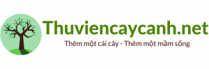 logo-thuviencaycanh.net