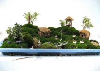 Tiểu cảnh như khu vườn thu nhỏ