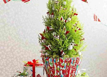 Thích hợp để trang trí hay làm quà tặng trong dịp giáng sinh.