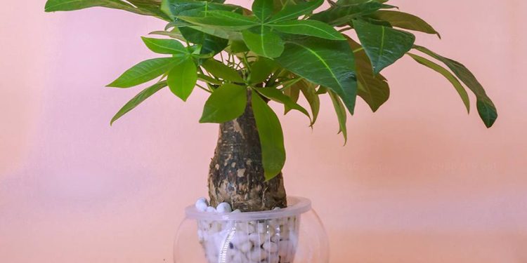 Hai chữ kim và ngân đi cạnh nhau càng bổ sung ý nghĩa