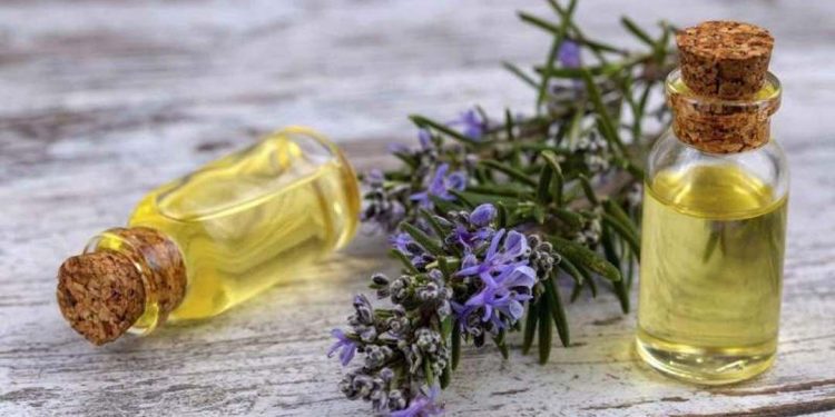 Tinh dầu hương thảo: Được sử dụng trong điều trị viêm nội tiết